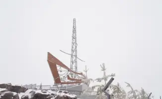 Ноев Ковчег: Казыгурт встречает гостей после обновления!