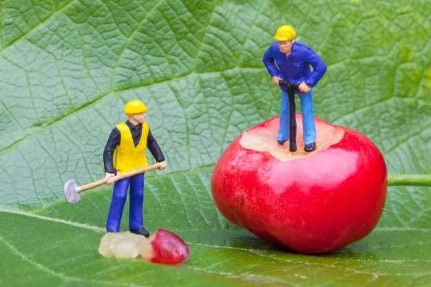 Генеральный директор Apple Тим Кук заявил о планах внедрения в продукцию компании инновационных функций на основе искусственного интеллекта (ИИ) в текущем году. Этот факт стал известен благодаря его комментариям в последнем квартальном отчете. Предположительно, часть из ожидаемых обновлений пользователи iOS смогут оценить еще до наступления нового года.