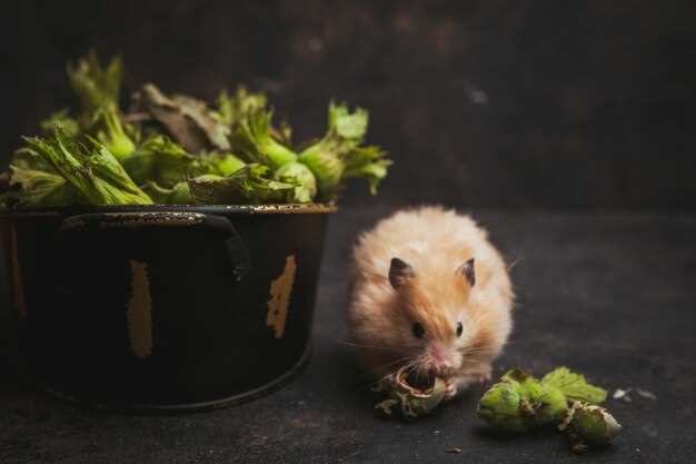 По словам Дурова, феноменальная популярность Hamster Kombat подтверждает растущую тенденцию мини-приложений внутри Telegram, где ежедневно добавляется в среднем от 4 до 5 миллионов новых пользователей.