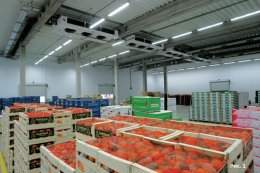 База по переработки фруктовой и овощной продукции (пример)