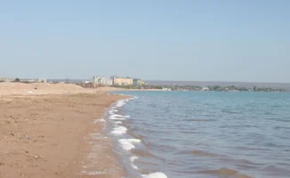 Предприниматели Конаева жалуются на притеснения со стороны акимата: международный резонанс