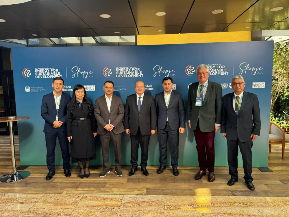 В Скопье проходит Международный форум ООН по устойчивой энергетике (IFESD-14) (4)