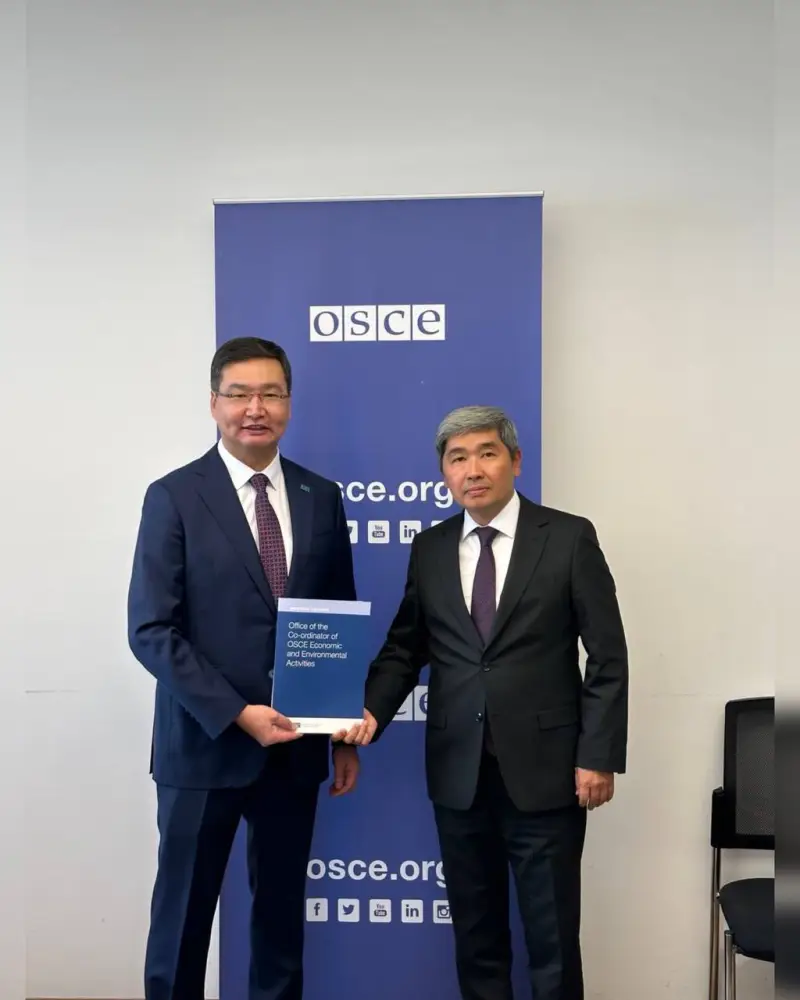 Двусторонние встречи с представителями международных организаций проведены в Вене (5)