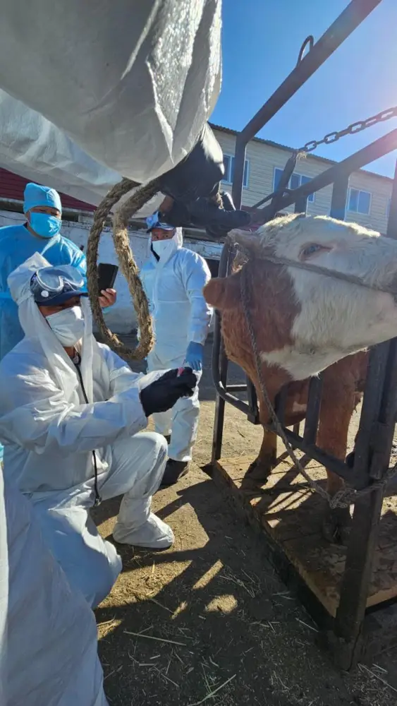 В Акмолинской области проведены симуляционные учения в сфере ветеринарной безопасности (3)