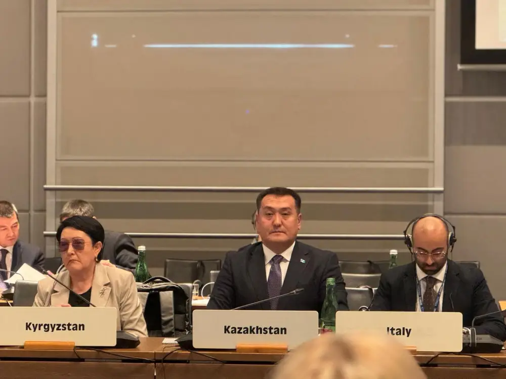 МЧС Казахстана усиливает международное взаимодействие в сфере снижения рисков бедствий (3)