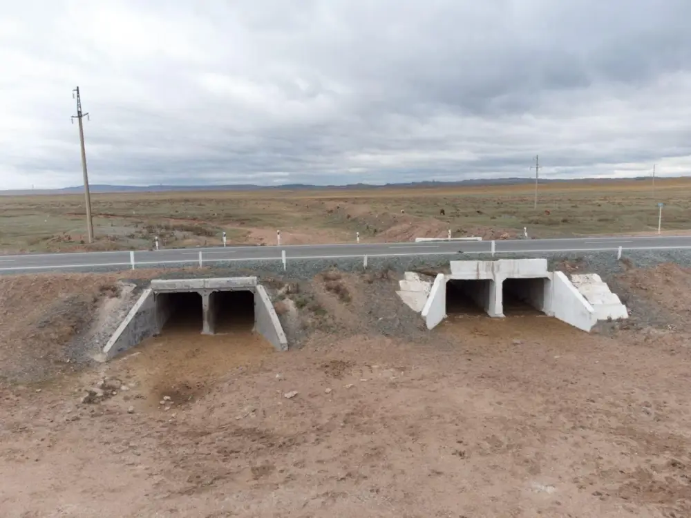 Подготовка к паводковому периоду продолжается в регионах Казахстана (4)