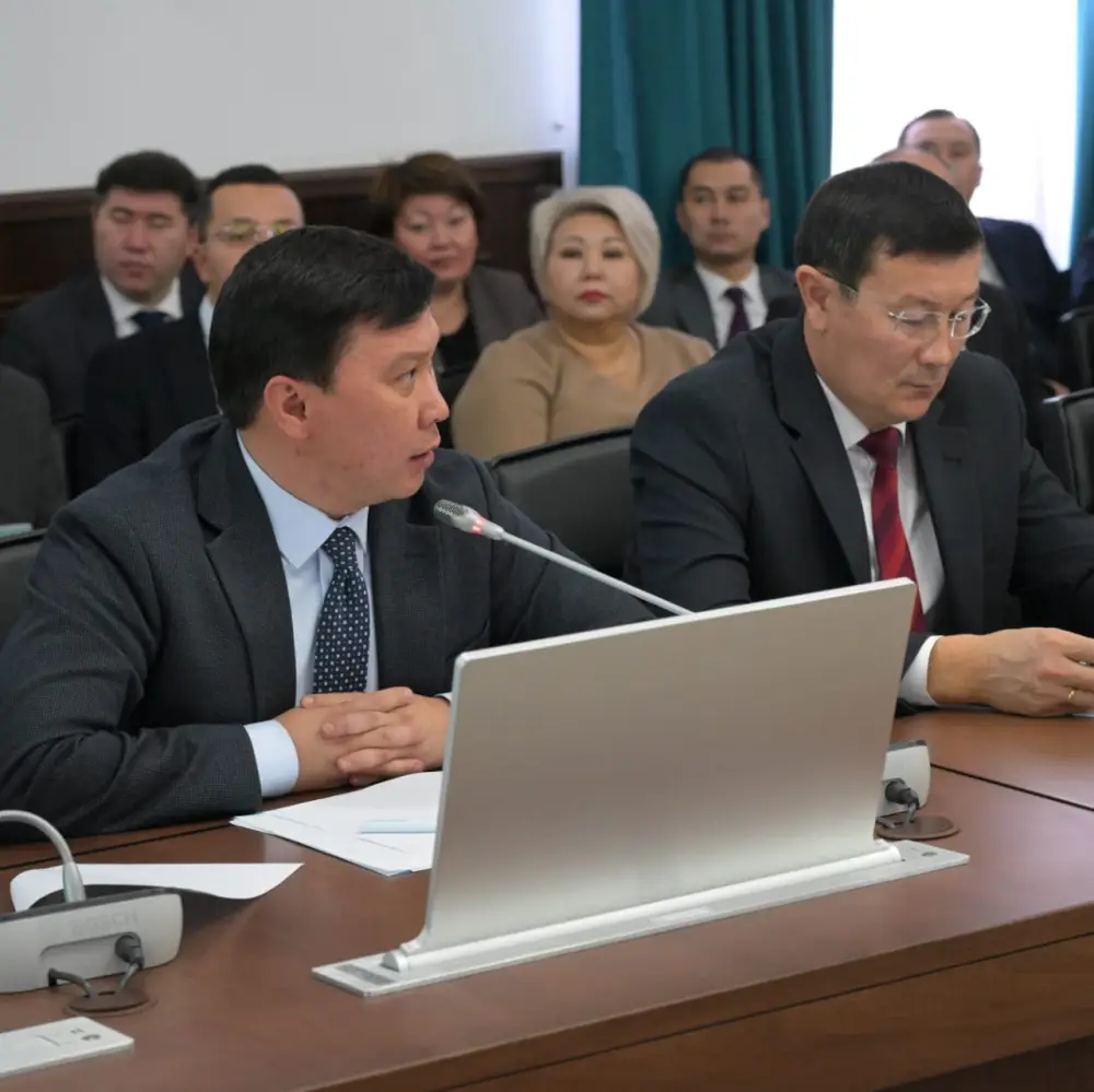 В Павлодарской области рассмотрены ожидаемые итоги социально-экономического развития за 2025 год (7)