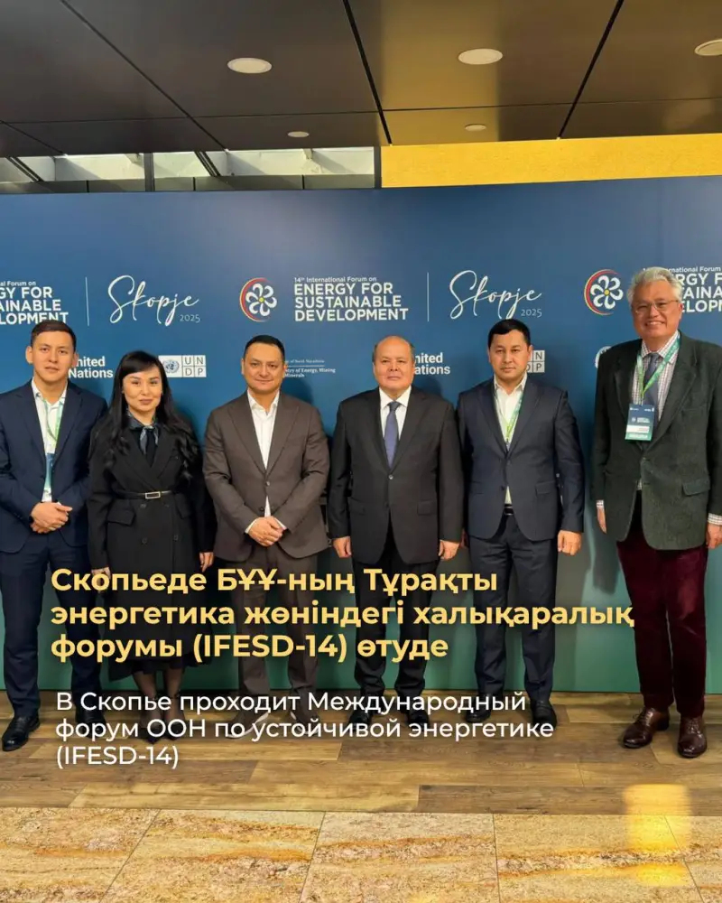 В Скопье проходит Международный форум ООН по устойчивой энергетике (IFESD-14) (5)