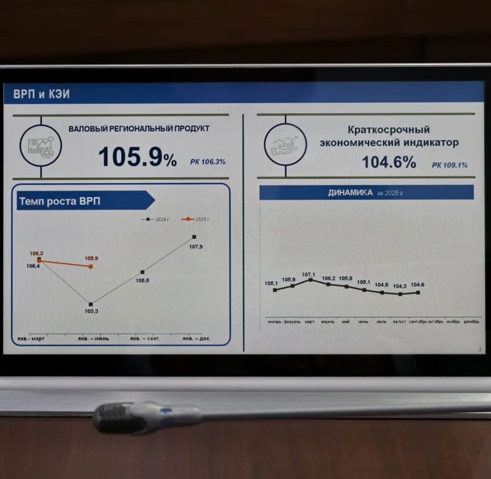 В Павлодарской области рассмотрены ожидаемые итоги социально-экономического развития за 2025 год (3)