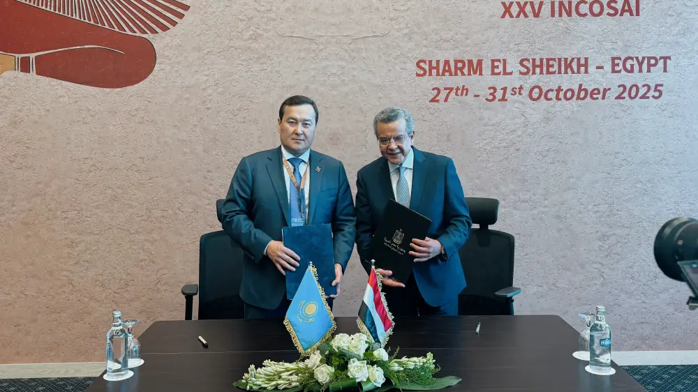 Казахстан подписал с Египтом и Узбекистаном меморандумы о сотрудничестве в области госаудита (4)