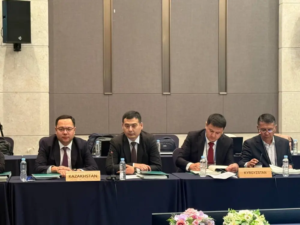 Казахстан укрепляет международное сотрудничество в сфере лесного хозяйства на XIII Ассамблее AFoCO (3)