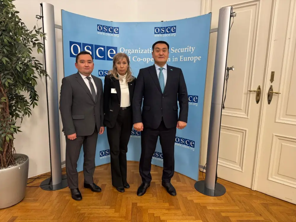 МЧС Казахстана усиливает международное взаимодействие в сфере снижения рисков бедствий (2)