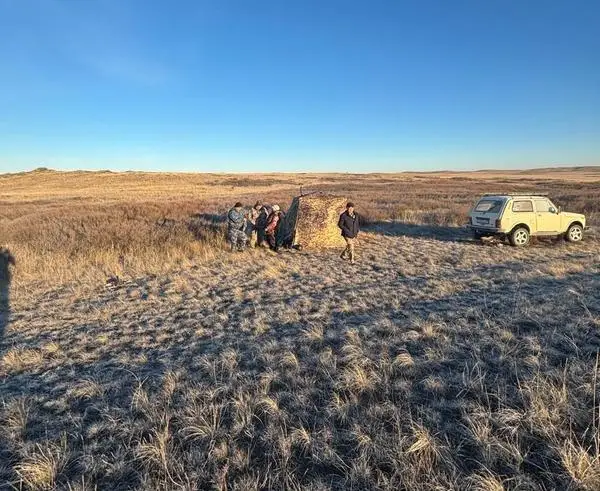 Авиамониторинг: в Карагандинской области считают архаров, косуль и сайгаков (2)