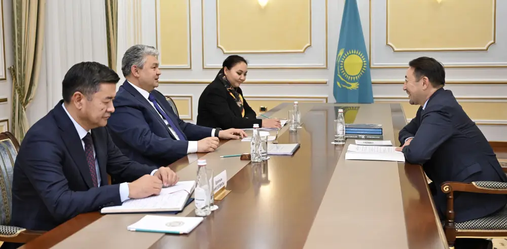 Глава МИД Казахстана принял Генерального секретаря СВМДА (4)
