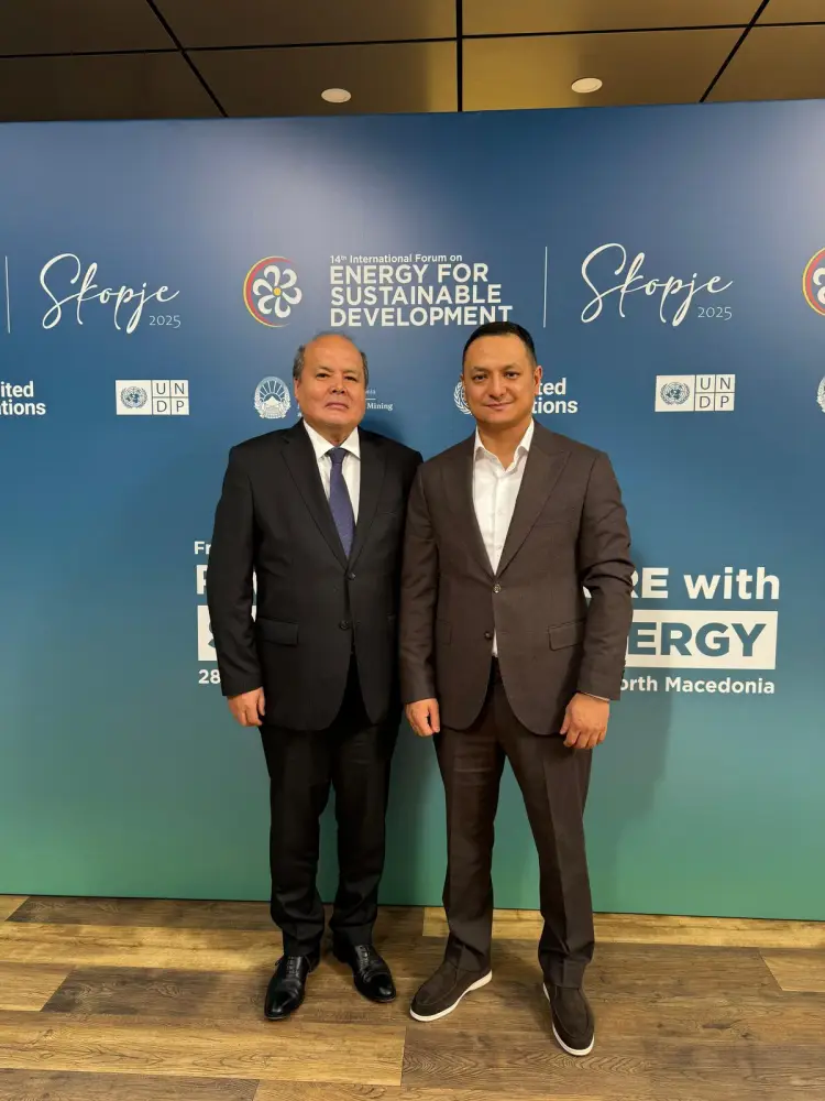 В Скопье проходит Международный форум ООН по устойчивой энергетике (IFESD-14) (2)