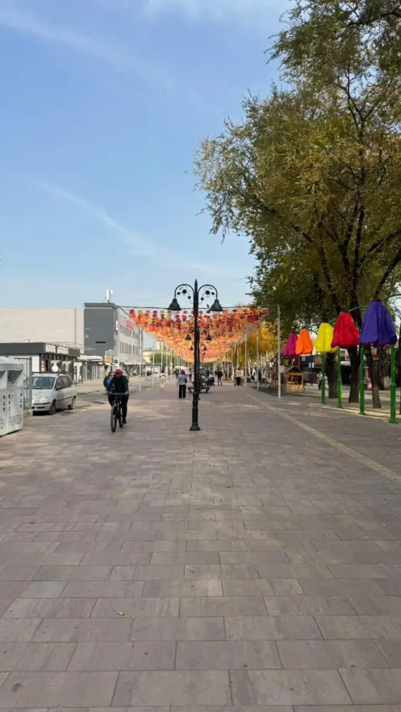 В Алматы ко Дню Республики завершено благоустройство двух пешеходных зон Жетысуского района (5)