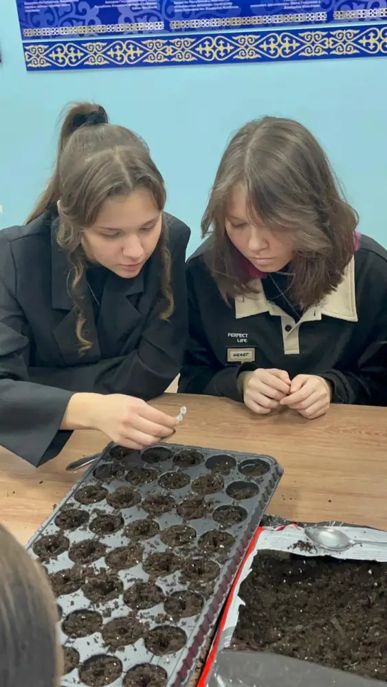 В Алтае ВКО прошёл круглый стол «Чистота природы - будущее страны» (4)