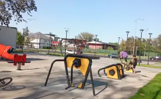 Алматы: осенняя симфония озеленения — 528 новых саженцев в сердце города