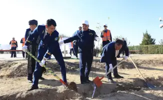В Арысе высадка 120 деревьев железнодорожниками способствует экологической устойчивости региона