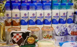 Увеличение производства молока в Восточном Казахстане способствует развитию аграрной экономики региона