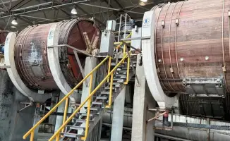 Переработка шкур крупного и мелкого рогатого скота в Западно-Казахстанской области