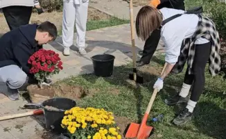 Три тысячи деревьев: школьники меняют парк!
