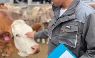 Бауыржан Машанбаев: вдохновение молодого ветеринара, ставшего образцом профессионализма в Казахстане