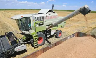 Казахстан увеличил экспорт зерна нового урожая на 14%