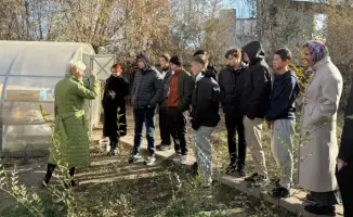 Ребята из Темиртау высадили деревья в рамках экологической акции «Зелёный уголок»