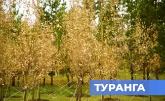 Экологическая акция в Астане: более 150 тысяч жителей укрепили чистоту города