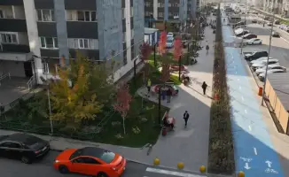 Наурызбайский район: новое пространство для прогулок, где мечты о активном отдыхе становятся реальностью