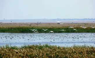 Туризм в Костанайской области: расцвет под солнцем культурного наследия