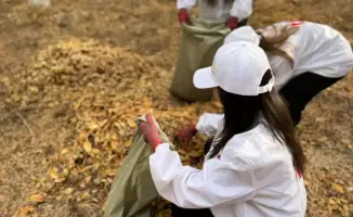 Участие жителей и школьников Шымкента в экологических акциях подчеркивает рост экологической сознательности в обществе