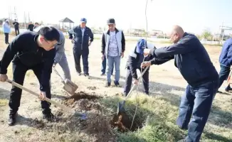 В Толебийском районе высадили 2000 деревьев в рамках экологической акции