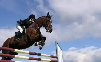 Чемпионат Казахстана по конкуру в Астане: новые горизонты для развития конного спорта в стране