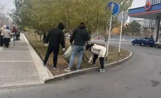 Участие сотрудников МСХ в субботнике способствует формированию экологической культуры в Казахстане