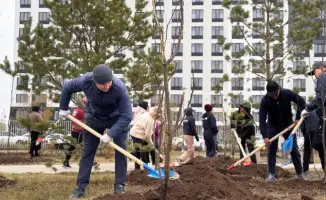 Сообщество объединяется для высадки более 300 деревьев в парке "Коктал"