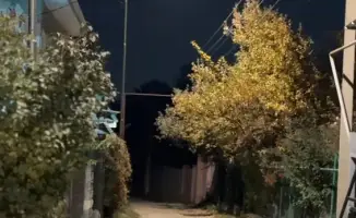 Наурызбайский район обретает свет: 51 улица в новой жизни