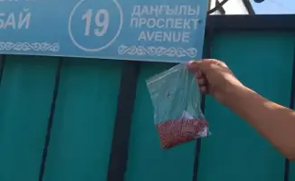 В Алматы завершен осенний этап дератизации: обработано 47 тыс. гектаров