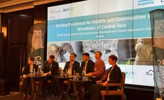 Углубление сотрудничества Казахстана в сфере охраны природы: новые перспективы для экосистем Центральной Азии