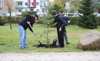 Экоакция в рамках программы «Таза Қазақстан»: более 23 тысяч участников и 10 000 новых деревьев для улучшения экологии региона