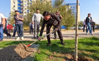 Шымкент растет: Аким сажает деревья с жителями!