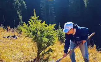 Посадка деревьев в преддверии Дня Республики: пресс-тур по природным резерватам и национальным паркам