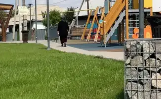 В Турксибском районе Алматы открылись новые зоны отдыха к Дню Республики