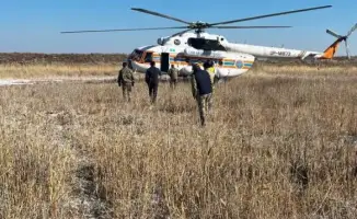 Авиарейд инспекторов по борьбе с браконьерством и вырубкой леса на Иле-Балхаше