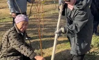 Сообщество села Бодене объединилось для высадки более тысячи деревьев в рамках акции «Таза Қазақстан»