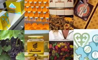 Челлендж Мой региональный бренд популяризация географических указаний в Казахстане