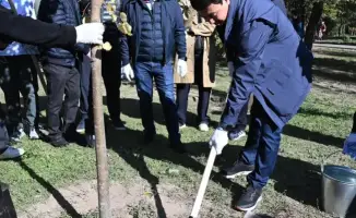 Посадка деревьев в парке «Достык»: акцент на экологическом сознании и участие жителей в инициативе «Таза Қазақстан»