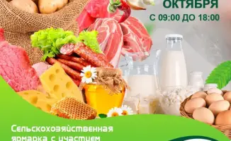 International Agricultural Fair in Astana Featuring North Kazakhstan and Pavlodar Regions