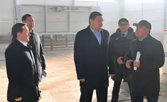 Новый завод по производству OSB-плит и фанеры в Семее: инвестиции и создание рабочих мест